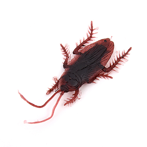 리얼바퀴벌레 모형